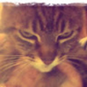 Meet your Posher, Brenna